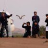 Emirati-Japanese falconry camp